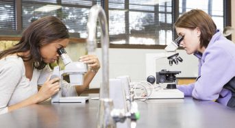 KOP NFP Fellowship for Developing Countries Students in Netherlands, 2017