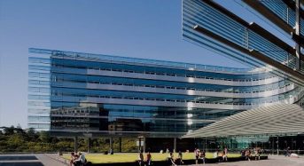 Northern Hemisphere Summer Research Scholarships in New Zealand, 2018