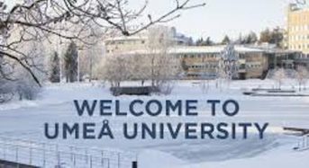 International Tuition-Waiversfor Master Degree in Sweden, 2018