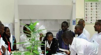 PhD Fellowships under DAAD’s In- nation/In- area Fellowship Program, 2018