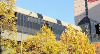 Michael Barnett Scholarships in New Zealand, 2018