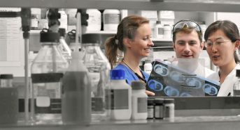 BSIO PhD and MD Scholarships/Positionsfor International Students in Germany, 2018