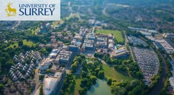 Department of Sociology Visiting International Fellowship in UK, 2019