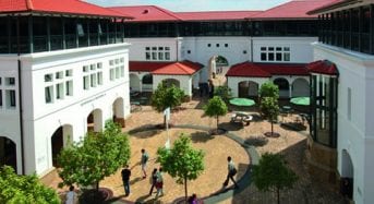 Joan Berry Postgraduate Fellowships in Veterinary Science at Massey University in New Zealand, 2019