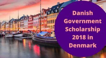 Danish Government Scholarship at University of Southern Denmark, 2019