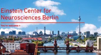 Neurosciences in Berlin– International PhD Fellowships for National and International Scientists, 2019
