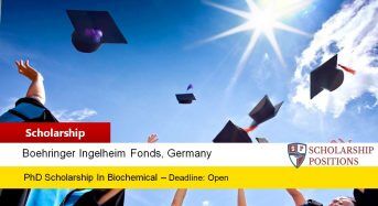 BIF Travel Grants for European or Non-EuropeanCitizens in Germany, 2019
