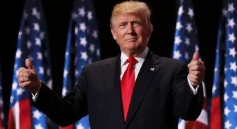 Where Did Trump Go to College?