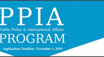 The PPIA Junior Summer Institute (JSI) Fellowship Program in USA, 2020