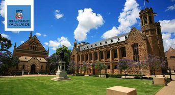 Adelaide Refugee & Humanitarian Undergraduate funding for International Students in Australia