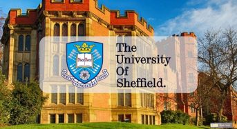 International Baccalaureate Scholarship at University of Sheffield in UK, 2020