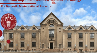 International PhD fellowship in Neuronal Cell and Membrane Biology, Denmark