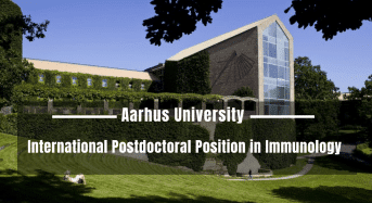 International Postdoctoral Position in Immunology at Aarhus University, Denmark