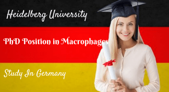 International PhD Position in Macrophages, Germany