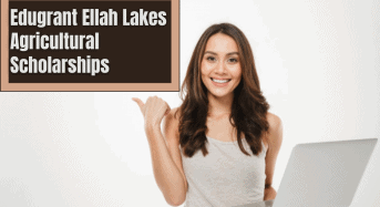 Edugrant Ellah Lakes Agricultural Scholarships in Nigeria