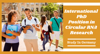 International PhD Position in Circular RNA Research, Germany