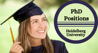 PhD Positions in Long Non- coding RNAs in Podocyte Disorders, Germany