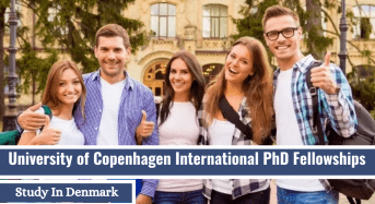 International PhD Fellowship in Human-CenteredData Science and Computer Supported Cooperative Work, Denmark
