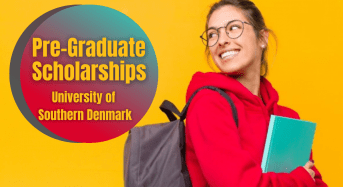 Pre- graduate funding opportunities at University of Southern Denmark