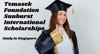Temasek Foundation Sunburst international awards in Singapore