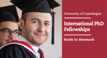 International PhD Fellowships in Experimental Aspects of Non-AbelianCondensed Matter Physics in Denmark