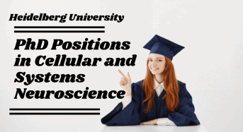 PhD Positions in Cellular and Systems Neuroscience in Germany