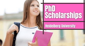 PhD Positions in Interplay Between tRNA Splicing and tRNA Modifications in Germany