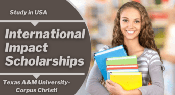 International Impact Scholarships in USA