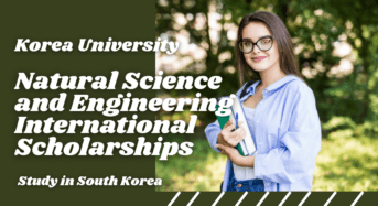 Natural Science and Engineering International Scholarships at Korea University, South Korea